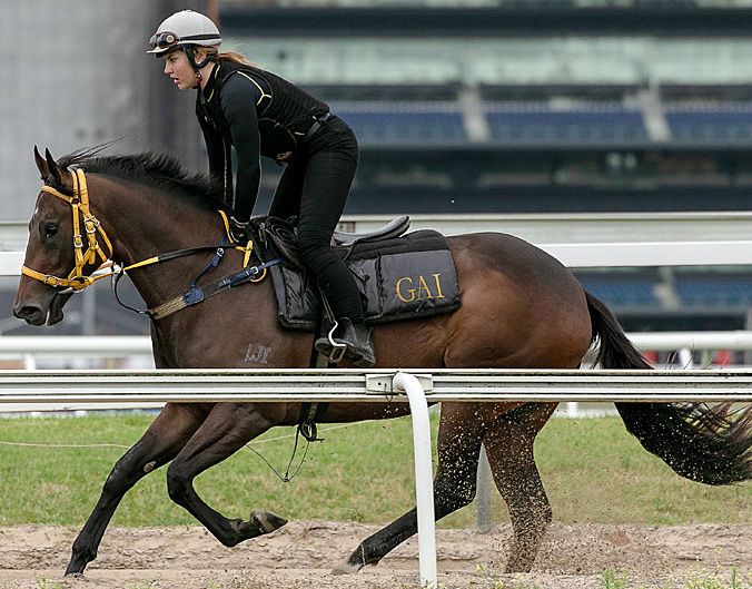 WANDJINA ex SPOOKED (NZ) 2YO Filly with GAI and ADRIAN