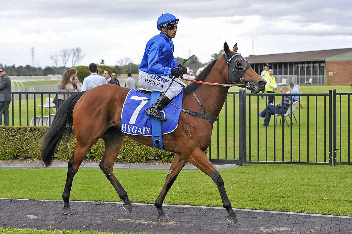 Godolphin; James McDonald; James Doyle; Racing NSW stewards